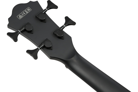 Ibanez AEGB420-BOT Basse Acoustique Black Out image 11