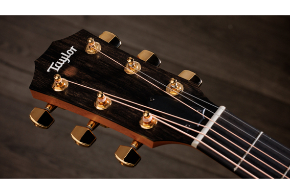 Taylor 224ce-K DLX Shaded Edgeburst image 11