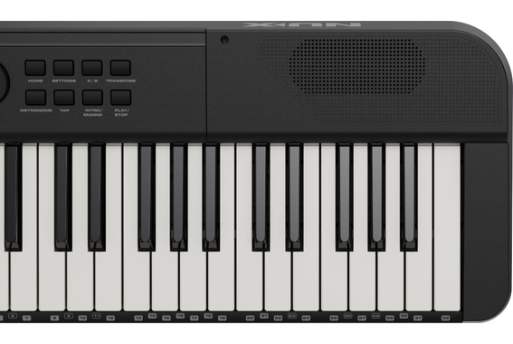 NUX NEK-100 image 11