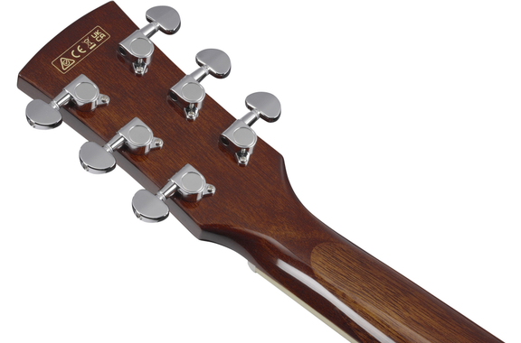 Ibanez PF16WCE-NT Natural image 11