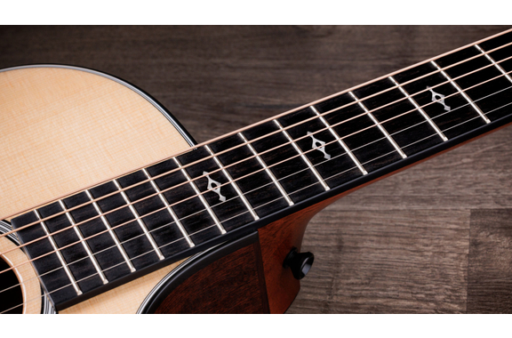 Taylor Next Generation 312ce (2026) image 11