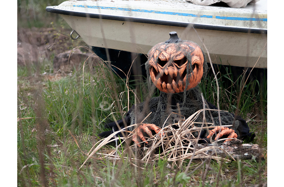 Europalms Halloween bewegte Kürbis-Monster Figur image 11