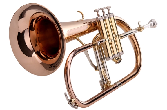 Lechgold FH-60G bugle laqué set Deluxe image 11