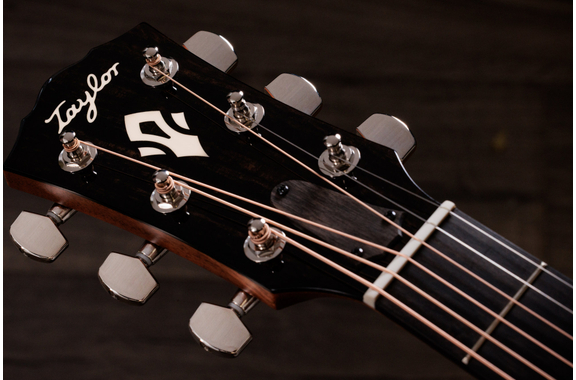 Taylor Gold Label 510e  image 11