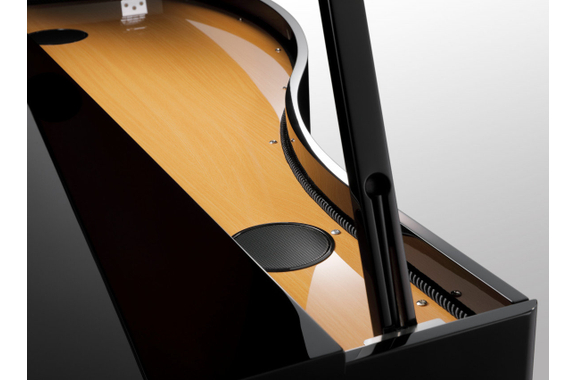 Kawai DG-30 Piano Digital image 11