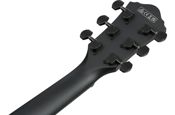 Ibanez AEWC621L-BOT Guitare Acoustique Pour Gaucher Black Out image 11