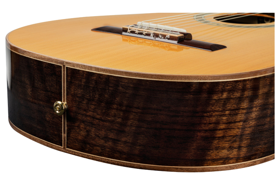 Ortega R159 Performer Series Guitare Classique image 11