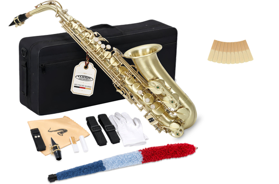 Classic Cantabile AS-450 Brushed Eb Set Saxophone Alto image 11