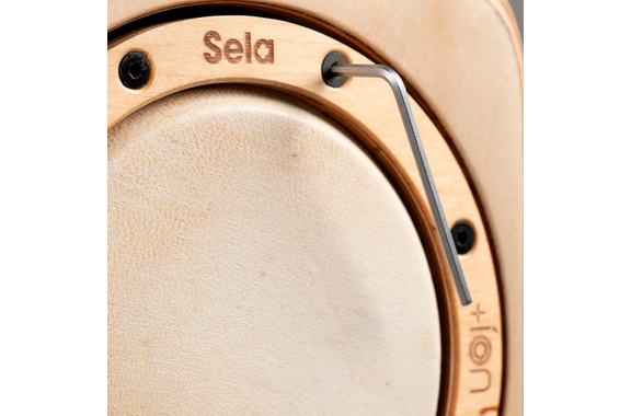 Sela Iconic Cajon - Limba  - Retoure (Zustand: sehr gut) image 11