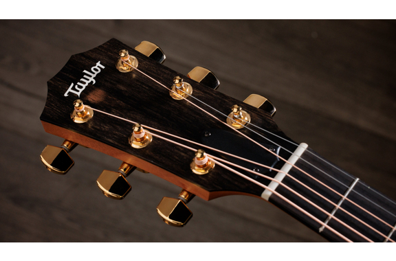 Taylor 224ce-K DLX Shaded Edgeburst image 11