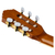 Ortega RCE141NT Family Series Pro Akustikgitarre thumbnail 12