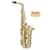 Classic Cantabile AS-450 Brushed Eb Set Saxophone Alto thumbnail 12