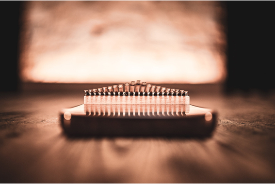 Meinl Sonic Energy KL2101S Solid Kalimba Noyer Foncé image 12