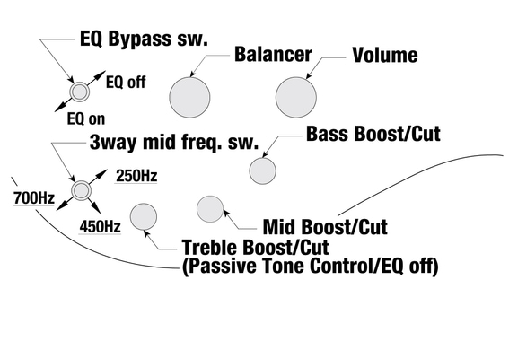 Ibanez SR1455DW-TGF Premium SR Basse Électrique Transparent Gray Flat image 12