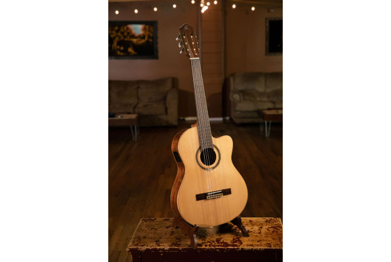 Ortega RCE138SN  - Retoure (Zustand: sehr gut) image 12