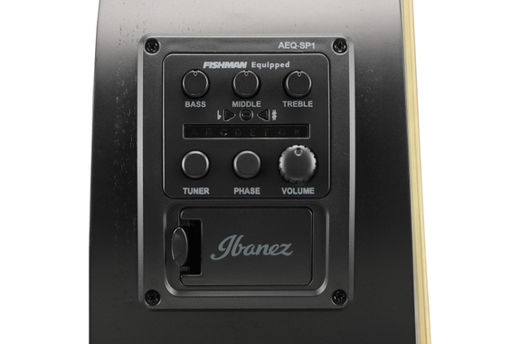 Ibanez AEWC13-WK Weathered Black Open Pore image 12