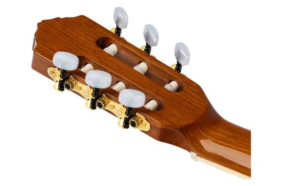 Ortega RCE141NT Family Series Pro Akoestische Gitaar image 12