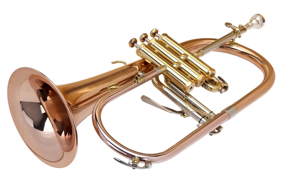 Lechgold FH-60G bugle laqué set Deluxe image 12