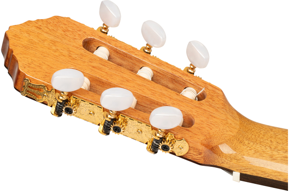 Ortega R20GRG Traditional Series 4/4 Guitare Classique image 12