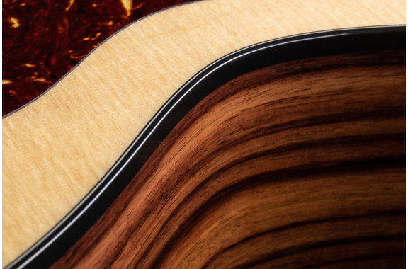 Taylor 214ce Plus  - Retoure (Zustand: wie neu) image 12