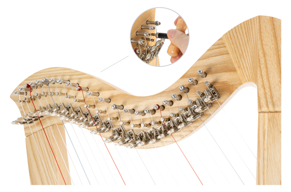 Classic Cantabile H-22 AW Harpe Celtique 22 Cordes Set image 12