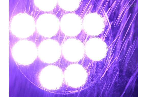 Eurolite LED IP PAR 7x8W QCL Spot image 12