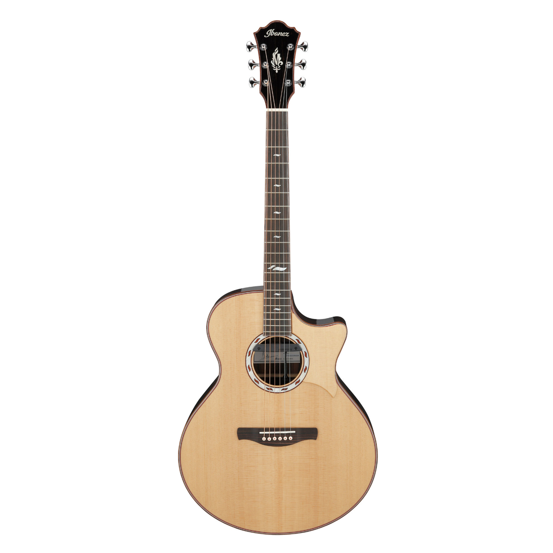Ibanez MRC 10