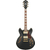 Ibanez AS73G-BKF Gitarre Black Flat Set thumbnail 2