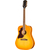 Epiphone Hummingbird Tribute Lefthand Heritage Sunburst thumbnail 2