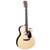 Martin Guitar GPC-13E Ziricote thumbnail 2