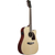 Ibanez PF16WCE-NT Natural thumbnail 2