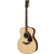 Yamaha FS830 Natural thumbnail 2