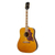 Epiphone Hummingbird AAN - Retour (Staat: Goed) thumbnail 2
