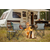 Stagecaptain CS-4547 GY Set Tavolo Da Campeggio Grigio thumbnail 2