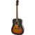 Epiphone Songmaker DR-100 Vintage Sunburst thumbnail 2