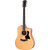 Taylor 110ce thumbnail 2