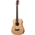 Taylor BT1e Baby  - Retoure (Zustand: gut) thumbnail 2