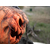 Europalms Halloween bewegte Kürbis-Monster Figur thumbnail 2