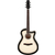 Ibanez AAM370M1CETPA Transparent Panda thumbnail 2