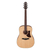 Ibanez AAD100-OPN Open Pore Natural thumbnail 2