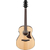 Ibanez AAM100E-NT Naturel Brillant thumbnail 2