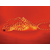 Eurolite Rubberlight RL1-230V orange 44m thumbnail 2