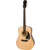Epiphone Songmaker DR-100 Natural thumbnail 2