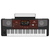Set Korg Pa700 con software de expansión MUSIKANT thumbnail 2