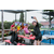 Stagecaptain Hirschgarten Bierzeltgarnitur für Balkon 117 cm Pink  - Retoure (Zustand: gut) thumbnail 2