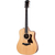 Taylor 210ce thumbnail 2