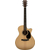 Martin Guitar GPC-16E-01 thumbnail 2