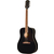 Epiphone Hummingbird Tribute Ebony thumbnail 2