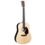 Martin Guitar D-13E Ziricote thumbnail 2