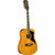 Eko Guitars Ranger XII VR EQ Natural thumbnail 2